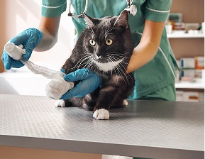 specialty-care-img